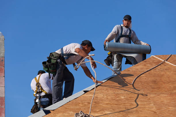 Best Roof Leak Repair  in Westwood Lakes, FL