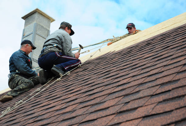 Best Flat Roof Repair Services  in Westwood Lakes, FL